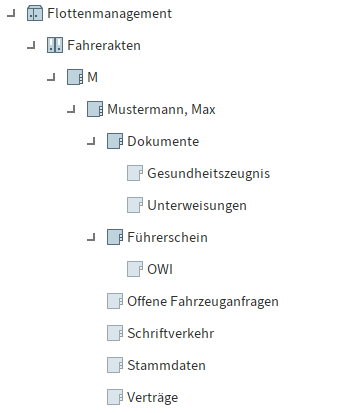Bei Erstellung einer Fahrerakte werden diese Unterordner generiert.
