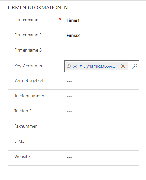 Der Ausschnitt zeigt einen Teil der Firmeninformation-Erweiterung